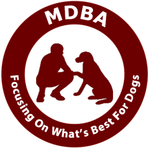 toy cavoodle puppies for sale