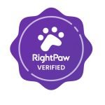 toy cavoodle puppies for sale